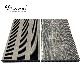 Modern Wood Plastic Composite Decking Floor Ts-04