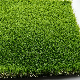 Synthetic Turf C Shape Landscaping Decoration Artificial Grass for Garden