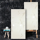 Best Deals Bianco Marble 600X1200mm Wall Tile manufacturer