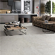 600*600mm Building Material Porcelain Floor Tile for Bathroom Balcony and Kitchen (DOL603G/GB) manufacturer