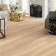  Different Colors Luxury Waterproof Vinyl Plank Flooring Click Spc Floor Panel