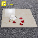 New Fashion Best Selling Indoor Non Slip Ceramic Tile manufacturer