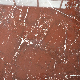 60X60 Suitable for Bathroom Bedroom Red Marble Flooring Tile manufacturer