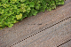 Co-Extrusion WPC Decking Wood-Plastic Composites Wood Composites Outdoor Flooring Building Material Wood Plastic Outdoor Deck