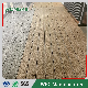 Practical Hot Sale Wood Grain More Design Floor WPC Decking manufacturer