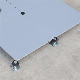 0.3-2.0mm Steel Anti-Static Raised Access Floor for Server Rooms