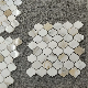  Italy White Marble Calacatta Gold Bathroom Tile Floor Tile Mosaic