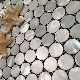 Round Freshwater Shell Mosaic with Joints on Mesh