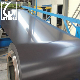 Dx51d Grade PPGI Coil in Roll Prepainted Galvanized Steel Coil