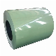 Factory Supply PPGI Sheet PPGI Steel Coils Color Coated Galvanized Steel Coil manufacturer