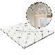 White Glossy PVC Ceiling Tile 595mm X 1190mm X 7m to France