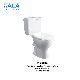 Good Quality Washdown Two-Piece Ceramic Porcelain Toilet with P-Trap