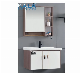 Modern Simple Wall Mountained Bathroom Cabinet Small Cabinet