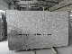 G603 Padang Crystal White Granite Slab for Floor and Worktop