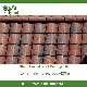 Stone Chips Coated Metal Roofing Tile (Roman) manufacturer