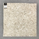 Natural/Lappato 600*600mm Porcelain Floor Ceramic Tile (TER601) manufacturer