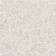 Concrete Decoration Italian Concept 600X600mm Interior Porcelain Tile (CVL601) manufacturer