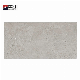  600*1200mm Rustic Tile Porcelain Floor Tile Building Material