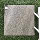 Wear-Resistant Building Material Porcelain Flooring Rustic Tiles (SHA604) manufacturer