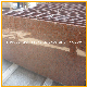 China Red Stone Polished Tianshan Red Granite for Tiles Stairs/Steps