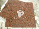  Impala Red Granite Tile with Calibrated on Thickness