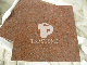 Impala Red Granite Tile with Calibrated on Thickness