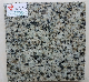 Jiangxi Green Verde Granite Tile Cost for Wall Facade System Covering