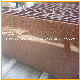 China Red Stone Polished Tianshan Red Granite for Tiles Stairs/Steps