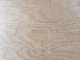  Russia Birch Plywood for Furniture
