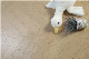 Herringbone Style Eco Friendly New Arrival Indoor Usage 14mm Engineered Wood Flooring manufacturer