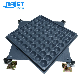 Heavy Loading Steel Adjustable Raised Floor for modern Building