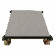 Hot Sale Anti-Static Flooring Calcium Sulphate Access Floor for Banks, Telecommunication Centers