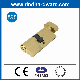 En1303 Brass Euro Profile Master Key Gmk Lock Cylinder for Wooden Door