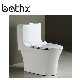 Chaozhou Factory Siphonic Flushing Bathroom Soft Close One Piece Ceramic Eco Toilet (PL-3003) manufacturer