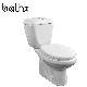 Made in China for Kenya Washdown Flushing Bathroom Soft Close PP Seat Ceramic Fast Selling 100mm Outlet Double Piece Toilet (PL-6823) manufacturer