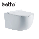 Popular Design Factory Direct Sale One Piece Sanitary Ware Bathroom Wc Ceramic Wall Hung Toilet (PL-7739) manufacturer