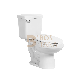 Ceramic Siphonic Two-Piece Toilet for Southeast Asia Market Bathroom Sanitaryware manufacturer