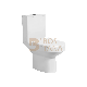 Hot Sale Good Price Rimless Two Piece Toilet Bathroom Ceramic Sanitaryware manufacturer