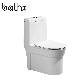 Popular Style Sanitary Ware Floor Mounted Bathroom Dual Flush Siphonic One Piece Toilet manufacturer