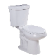 High Efficiency Dual Flush Comfort Height Two Piece Toilet