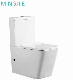 Factory Supply Sanitary Ware White Color Square Water Closet Wc Washdown Two Piece P-Trap Toilet