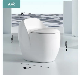 Sanitary Ware Mounted Bowl Rimless Matt White Ceramic Toilet Water Closet