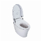  Modern Luxury Bathroom Water Closet Manufacturers