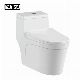  Double Siphonic Flushing Ceramic One-Piece Water Closet Wc
