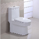 Double Siphonic Flushing Ceramic One-Piece Water Closet Wc manufacturer