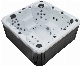 Newly Designed Freestanding SPA Whirlpool Hot Tubs