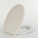 Aobo PP Plastic White Oval Elongated Toilet Seat with Slow Close Cover manufacturer