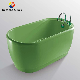 Wash Down Sanitary Ware Classic Bathtub with Ladder Price