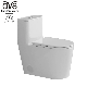 Ovs Cupc Minimalist White Color Wc Bathroom Ceramic One Piece Toilet Sanitaryware manufacturer