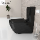 Chaozhou Bathroom Ceramic Two Piece Wc Toilet with P-Trap Black Sanitary Ware